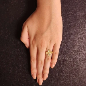 Anel Ouro 18K