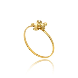 Anel Ouro 18K