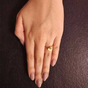 Anel Ouro 18K