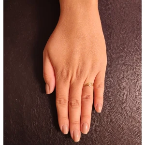 Anel Ouro 18K