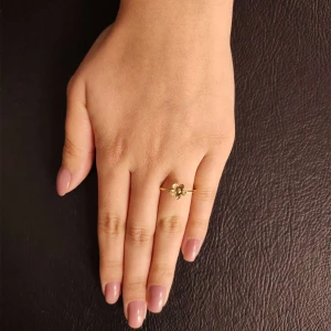 Anel Ouro 18K