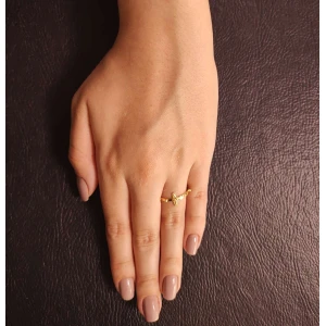Anel Ouro 18K