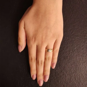 Anel Ouro 18K