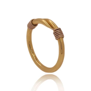 Anel Ouro 18K Duas Cores