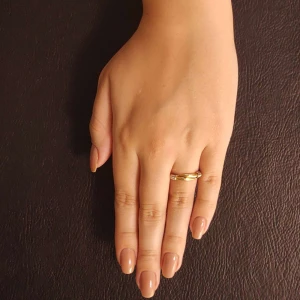 Anel Ouro 18K Duas Cores Anel Ouro 18K Duas Cores