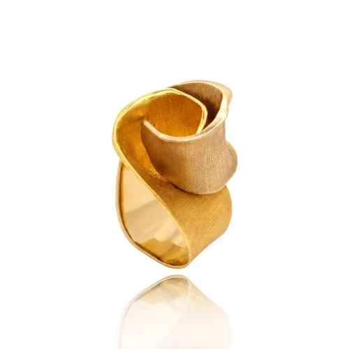Anel Ouro 18K Duas Cores