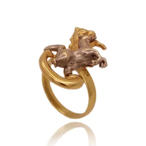 Anel Ouro 18K Duas Cores