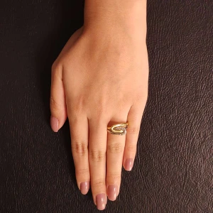 Anel Ouro 18K Duas Cores E Diamantes