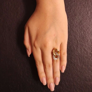 Anel Ouro 18K Duas Cores E Diamantes