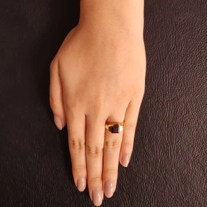 Anel Ouro 18K E Granada