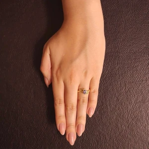 Anel Ouro 18K E Tanzanita