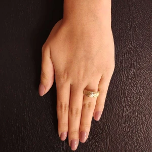 Anel Ouro 18K Três Cores