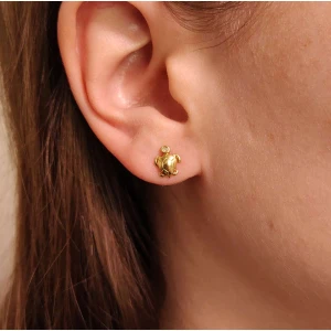 Brincos Ouro 18K