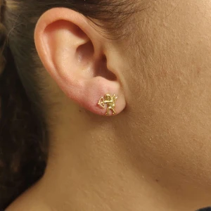 Brincos Ouro 18K