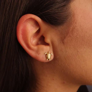 Brincos Ouro 18K