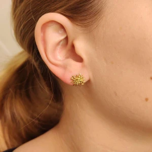 Brincos Ouro 18K