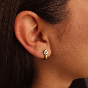 Brincos Ouro 18K Duas Cores