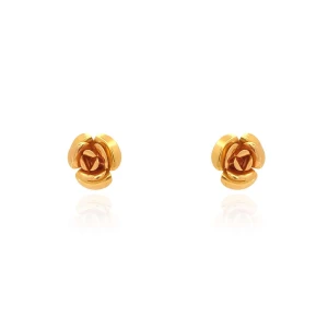 Brincos Ouro 18K Duas Cores