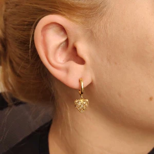 Brincos Ouro 18K Duas Cores