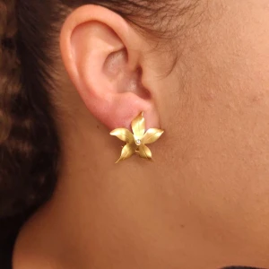 Brincos Ouro 18K E Diamantes