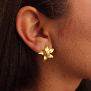 Brincos Ouro 18K E Diamantes