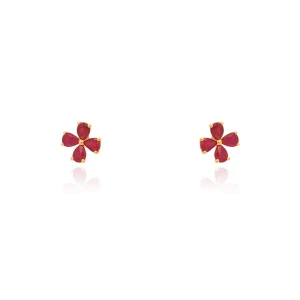 Brincos Ouro 18K E Rubis