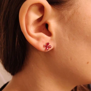 Brincos Ouro 18K E Rubis