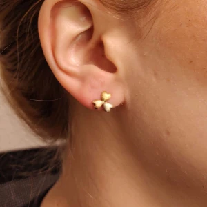 Brincos Ouro 18K Três Cores