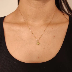 Pingente Ouro 18K