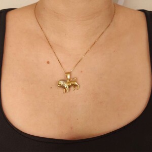 Pingente Ouro 18K Duas Cores