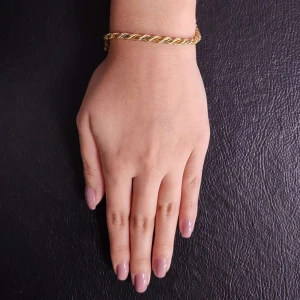 Pulseira Ouro 18K Duas Cores